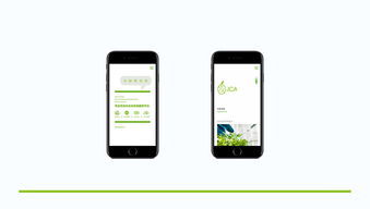 威海農業品牌形象塑造 從Logo設計到移動應用開發的全方位升級
